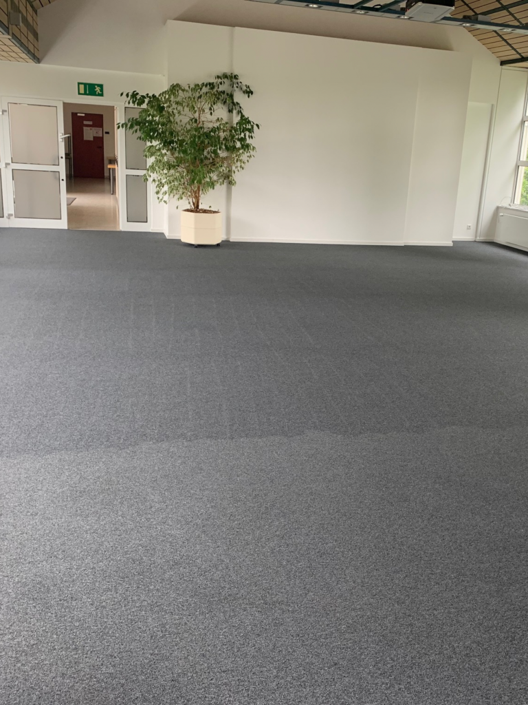 Teppichreinigung