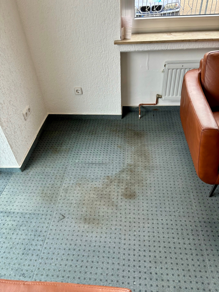 Fleckenentfernung Teppich